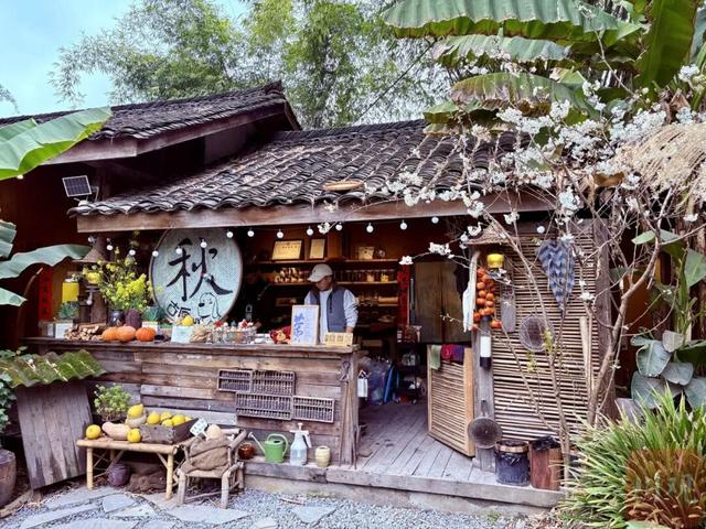 “特种兵式旅游”Out了！现在大家都爱往这种村里跑