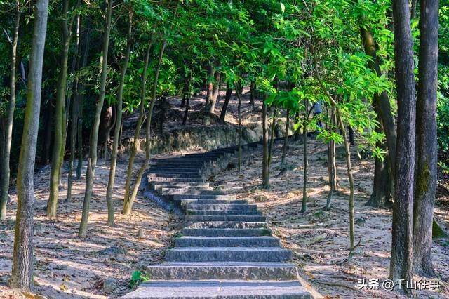 春山藏古寺，骑行访千年—枣庄山亭寻幽记，方丈竟然是释永信师弟