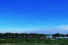 医保严管下，公立医院面临倒闭，谁之过？图片