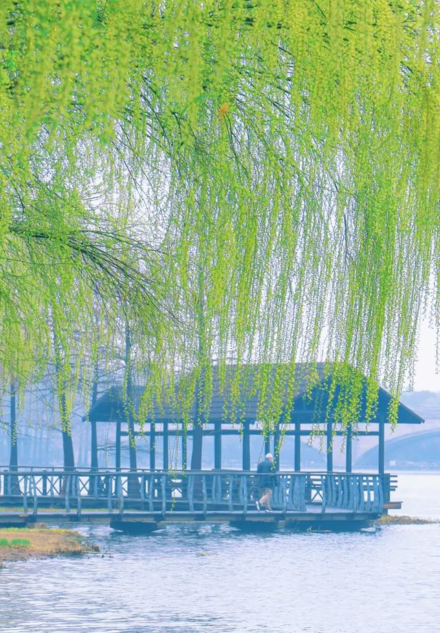 无锡又一公园火了！被称为 “苏南的西双版纳”，适合清明遛娃赏景