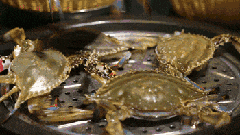 在山东这个“神仙小城”，远离人潮，过几天山海相依、文墨飘香的日子