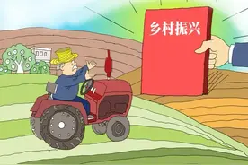 国家一号文件出台，村里村民还有未确权的宅基地，还可以确权吗？图片