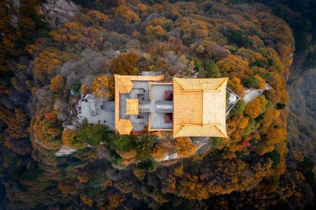 The Qinling Mountains in painted splendor｜秦岭彩叶大赏，美到“巅峰”