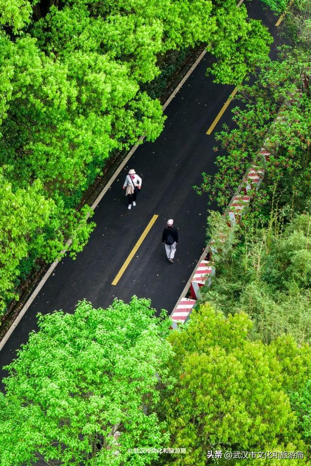 直冲30℃，咸宁请客，出来玩！