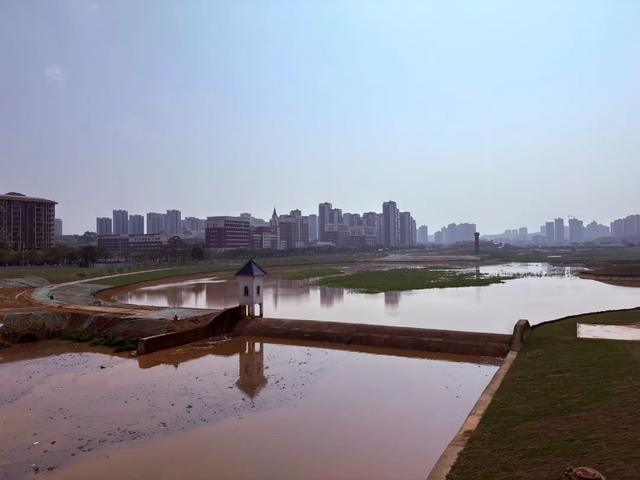 五象湖「最强景观」火了,公告成了废纸