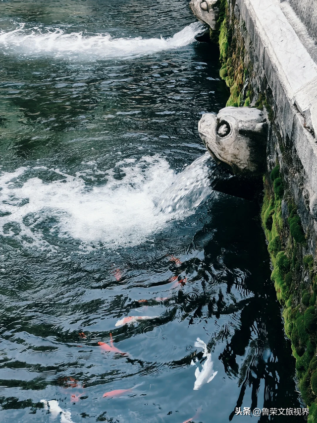 泉城漫记：在时光的褶皱里，打捞济南的清与静