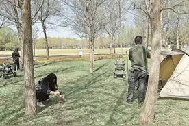 八爪鱼似的风绳，露头的地钉……露营天幕下暗藏这些安全隐患图片