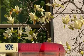 身份证到期后的换证流程图片