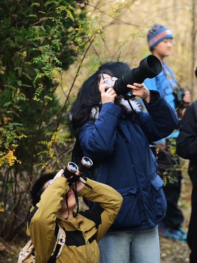 海河岸边、各大公园……天津冬季观鸟地图来了！