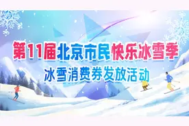 北京3万张冰雪消费券来了！苑里1家冰场可用图片