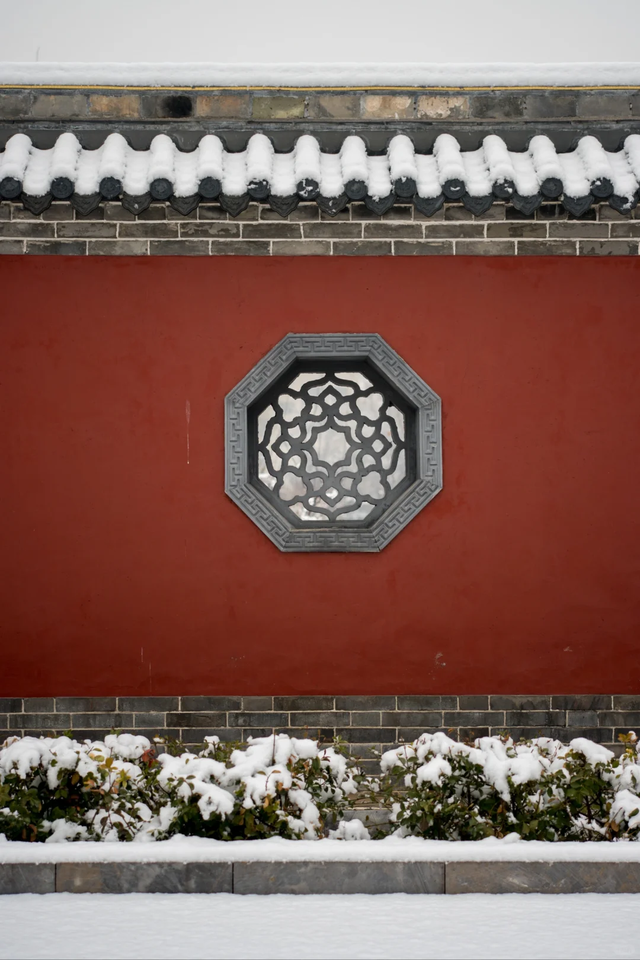 下雪啦！快去打卡聊城初雪限定皮肤！