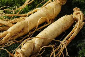 吉林有啥特产值得带？本地人推荐这10样，物美价廉，送礼不丢面图片