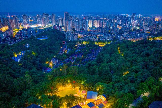 我想大渡口的夜景了