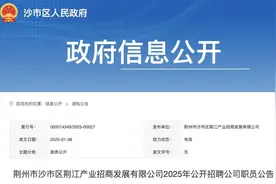 无笔试！荆州市沙市区一国企招聘9人图片