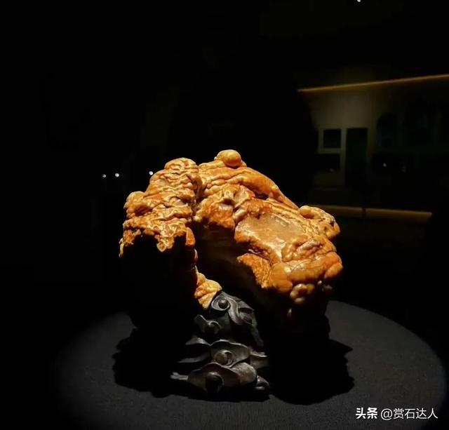 2026春季阿拉善玉·观赏石文化旅游活动盛大启幕，精品奇石欣赏