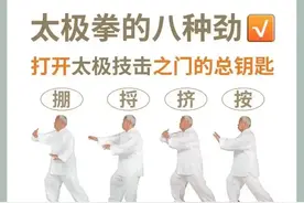 太极八法五步动图详解图片