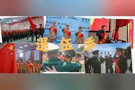 命令，退出现役！图片