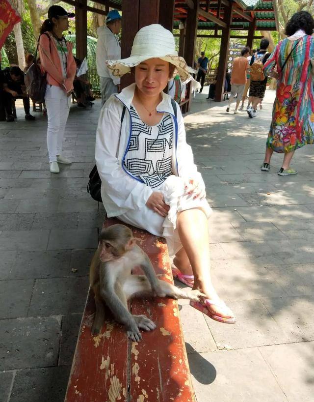 和老伴去了一趟陵水，不昧良心地说：陵水是我见过最自在海滨小城