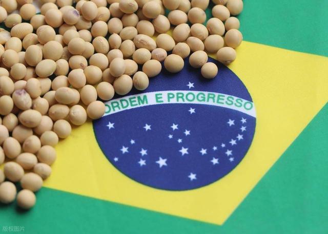 美豆堆到粮仓爆！巴西豆坐地起价？中国48小时签阿根廷 130 万单！