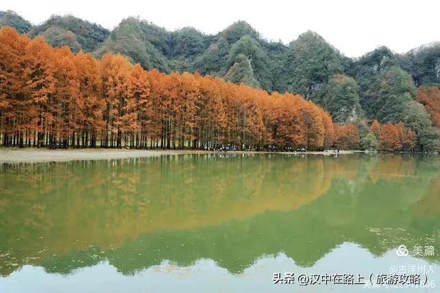 龙池秋色惹人醉
