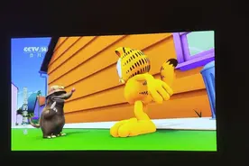 这几款电视直播软件好用又免费图片