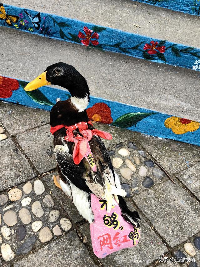 登无锡吼山，观沿途风景