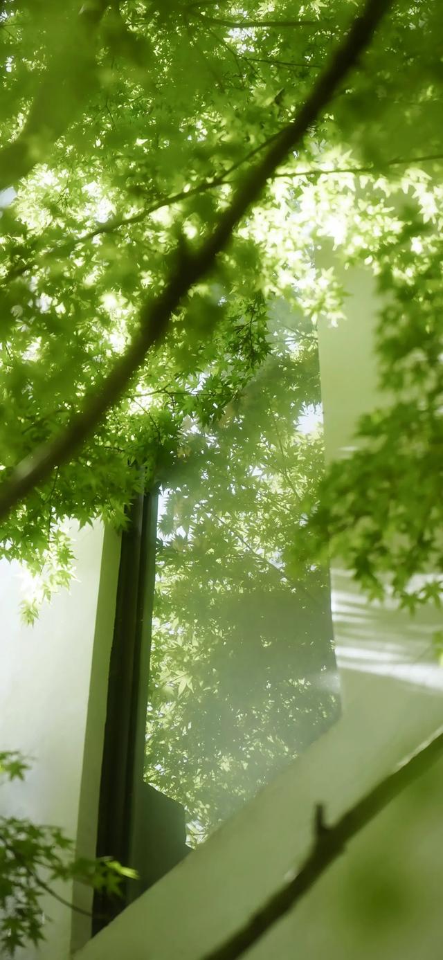 全屏手机壁纸4.26