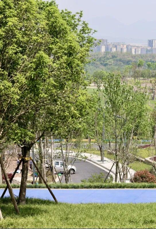 首个春假！家门口的露营野餐地随便挑