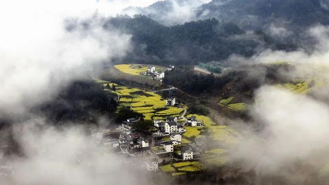 白墙黛瓦间，流淌的金色时光——赴一场与油菜花的春日之约！