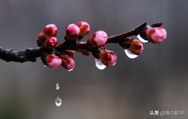 骤降超10℃？武汉或将迎新一轮降温降雨！出行需注意！