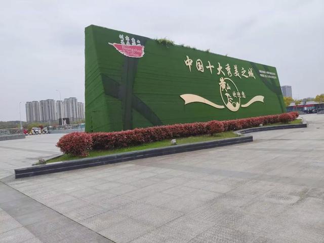 漫步黄山松掩山丛树杪，云隐仙踪徒步蹬道千阶