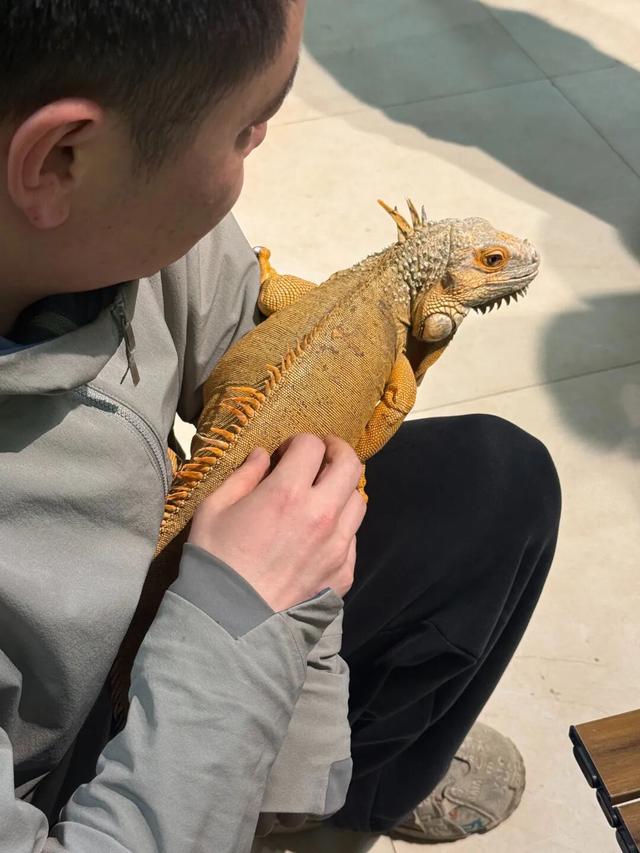 看渝超，逛两江！两江新区景区5折优惠来袭→