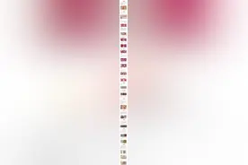 贵州茅台酒原箱检验方法。图片