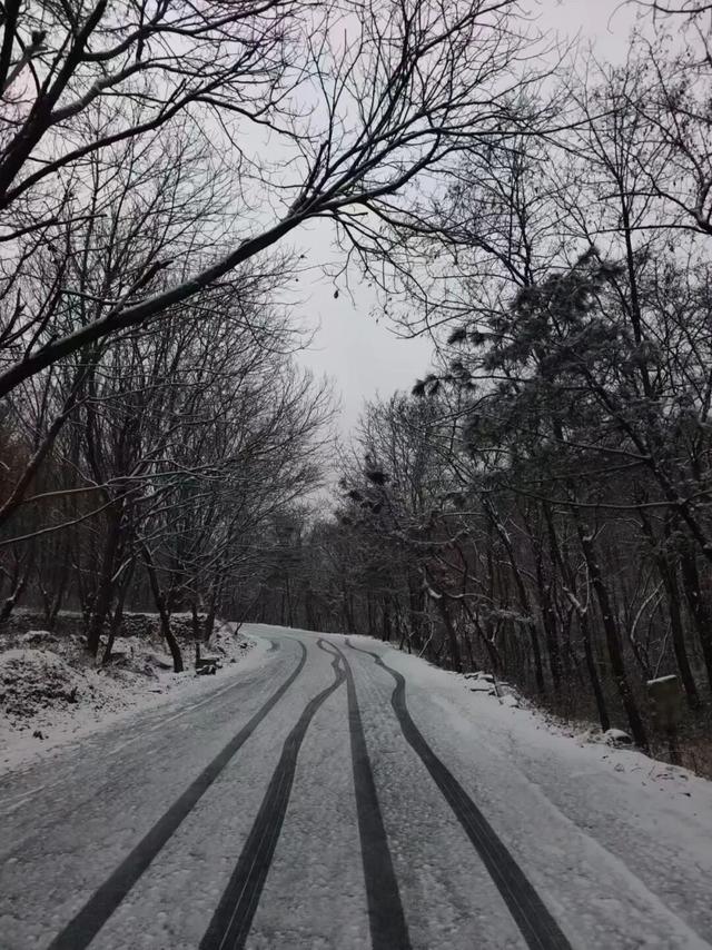 终于等到你！第一波日照雪景大片来了！