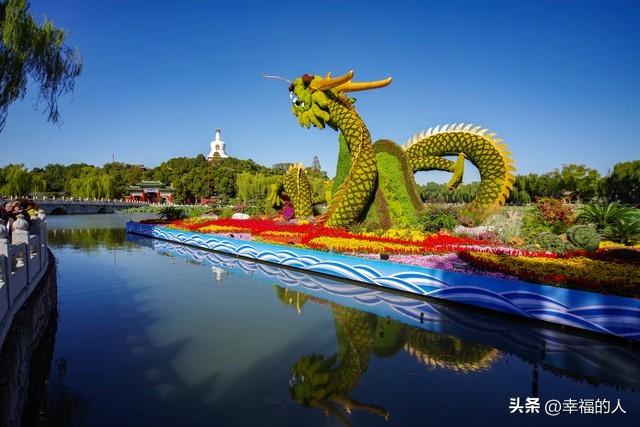 北京花展爆火！35万人挤爆CBD花海