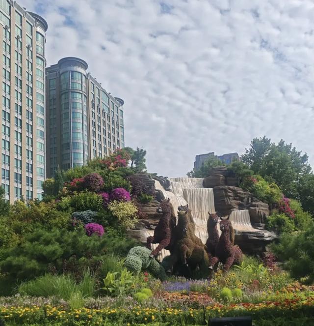 花坛见证:和平与记忆在大地上绽放