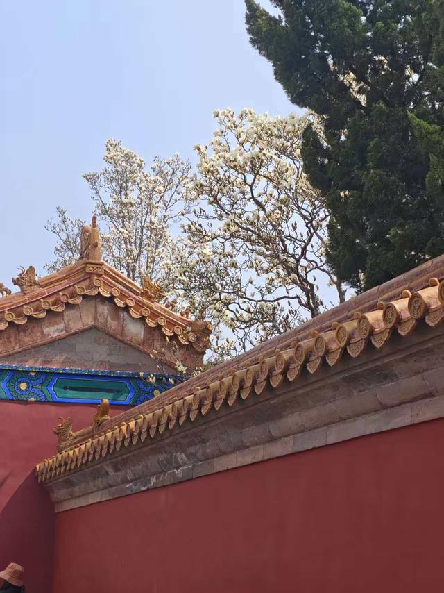 让客人住进春天里