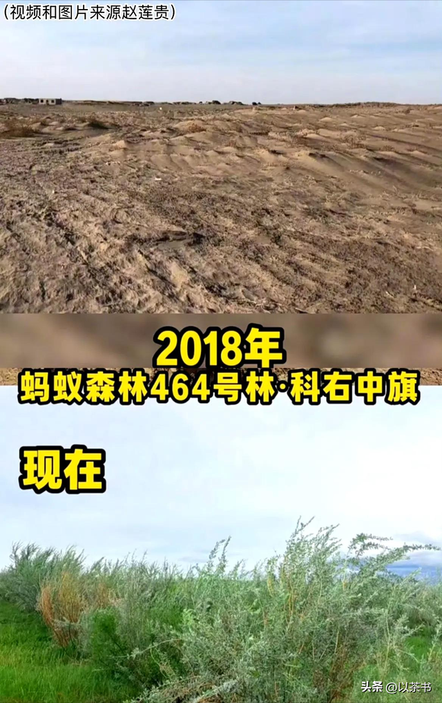 9年过去了，承诺每年在沙漠里种1亿棵树的马云，如今他做到了吗？