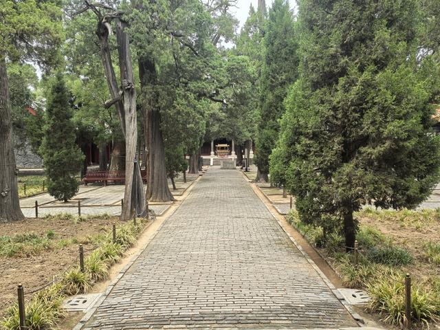 山东邹城游记