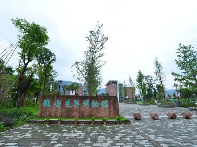 【跟着川超游雅安】2025年雅安秋季精品旅游线路来啦！
