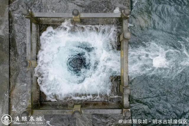 被济南泉水下的世界惊艳到了！