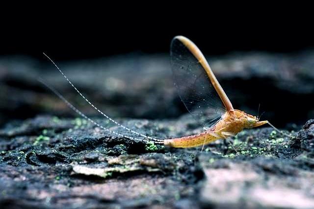 骑行省力的终极密码：别让你的臀部“摸鱼”！