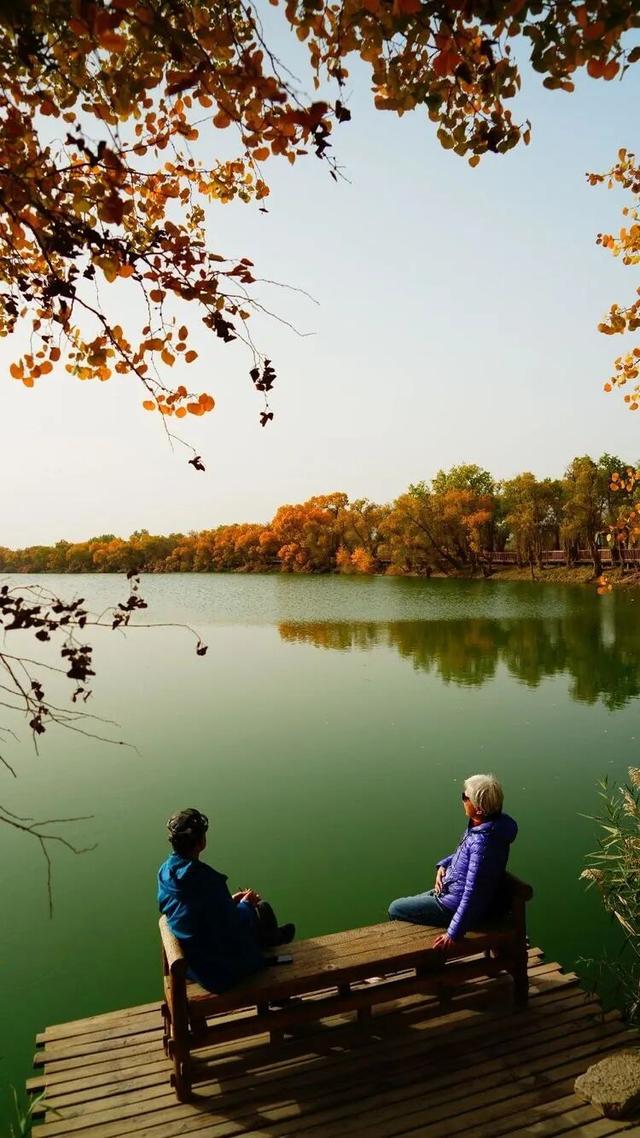 邢强 | 秋游南疆