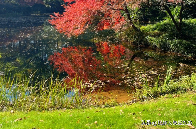 @所有人，杭州秋冬“顶级公园”发力了，绝美如画，出片100%