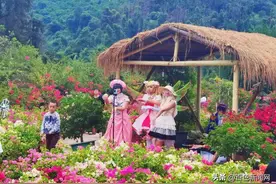 百色“莫奈花园”！随手一拍，照片美到没朋友图片