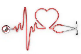 【春季高发心脏病】心脏也会变“胖”？心脏变大可能是疾病的表现图片