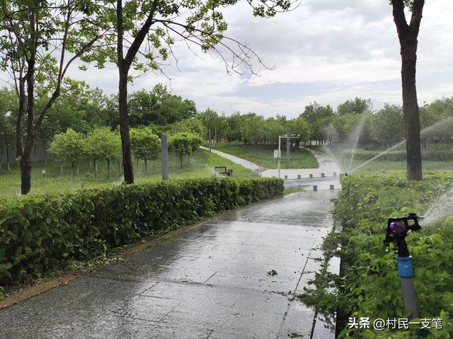 公园绿树成荫，路边花草芬芳，行人休闲漫步，享受快乐时光