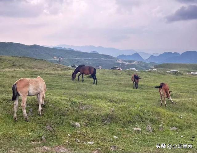 无论亲戚还是朋友只有走动起来才亲，能让嫂子释怀也不枉走这一趟