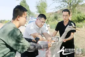 文水多方联手救助国家二级保护动物灰鹭图片