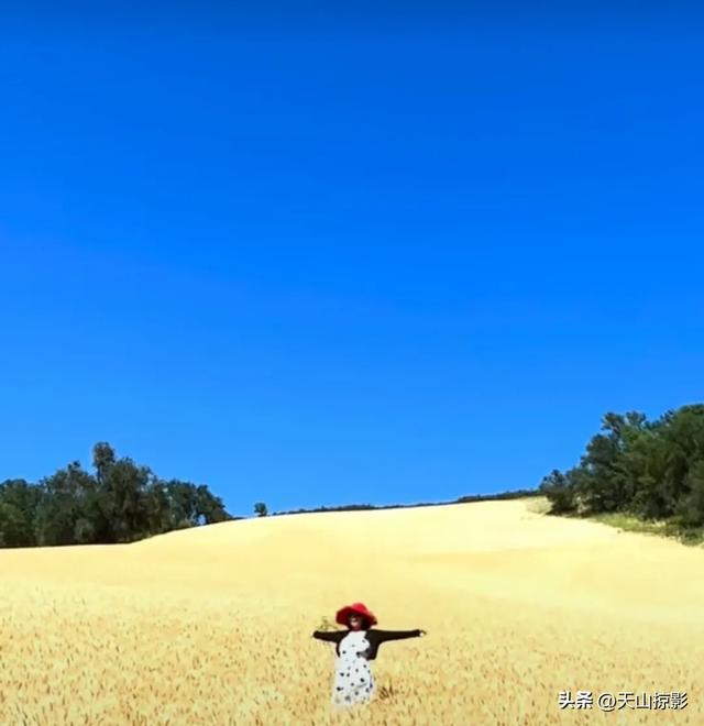 一二三，风吹麦浪